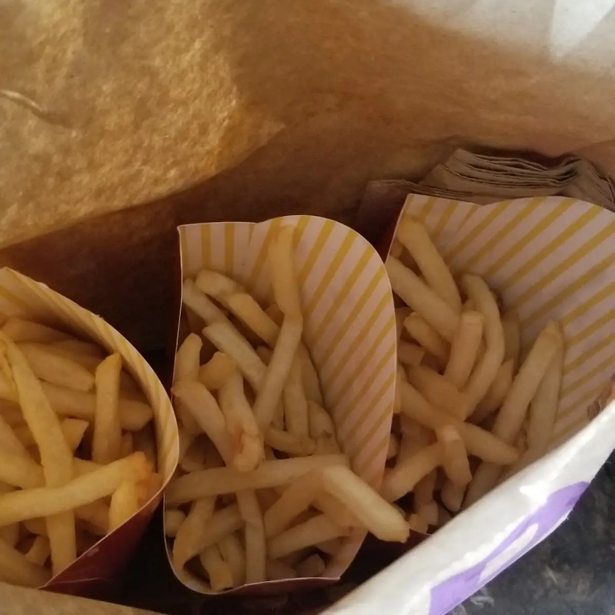 World Famous Fries