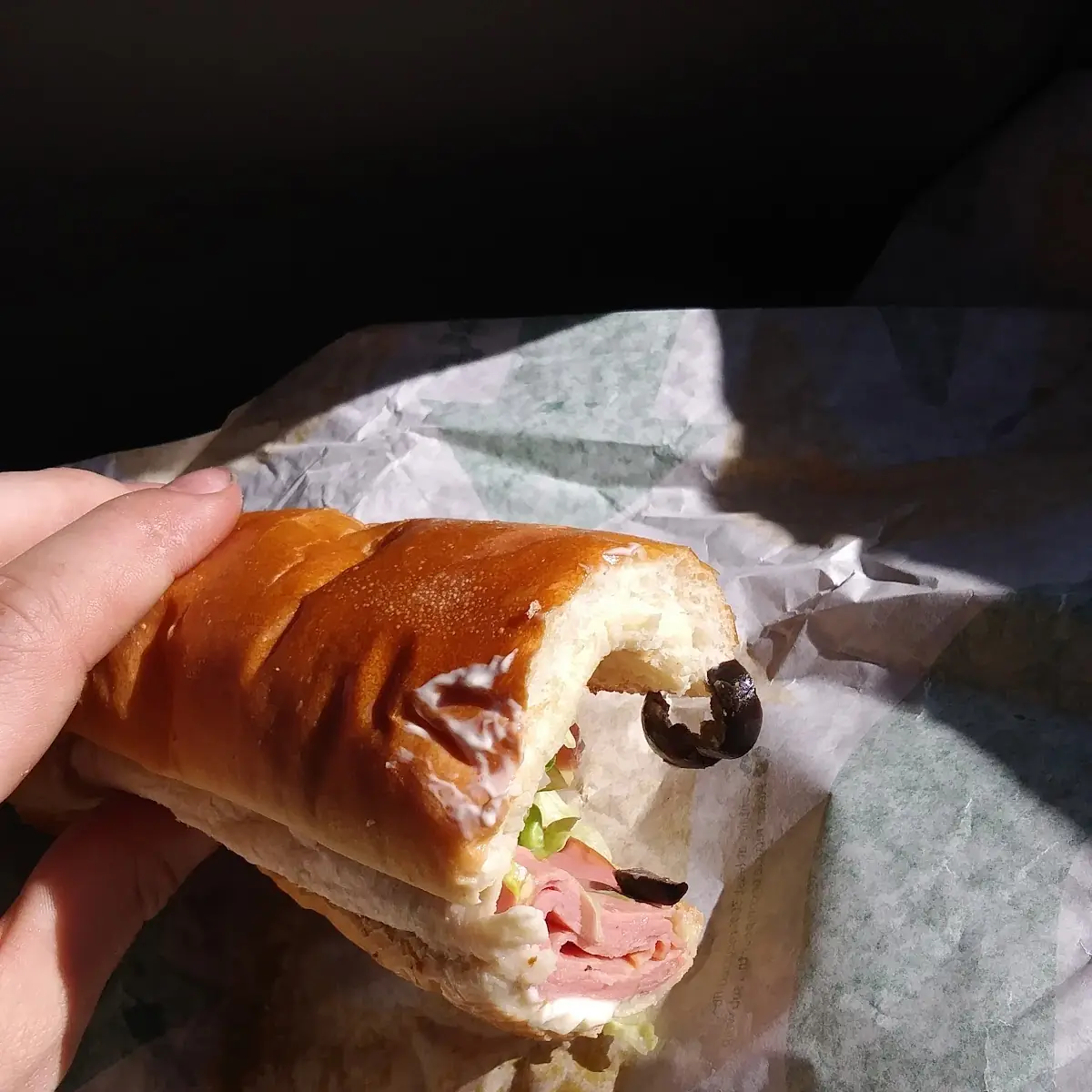 Turkey & Ranch Delite