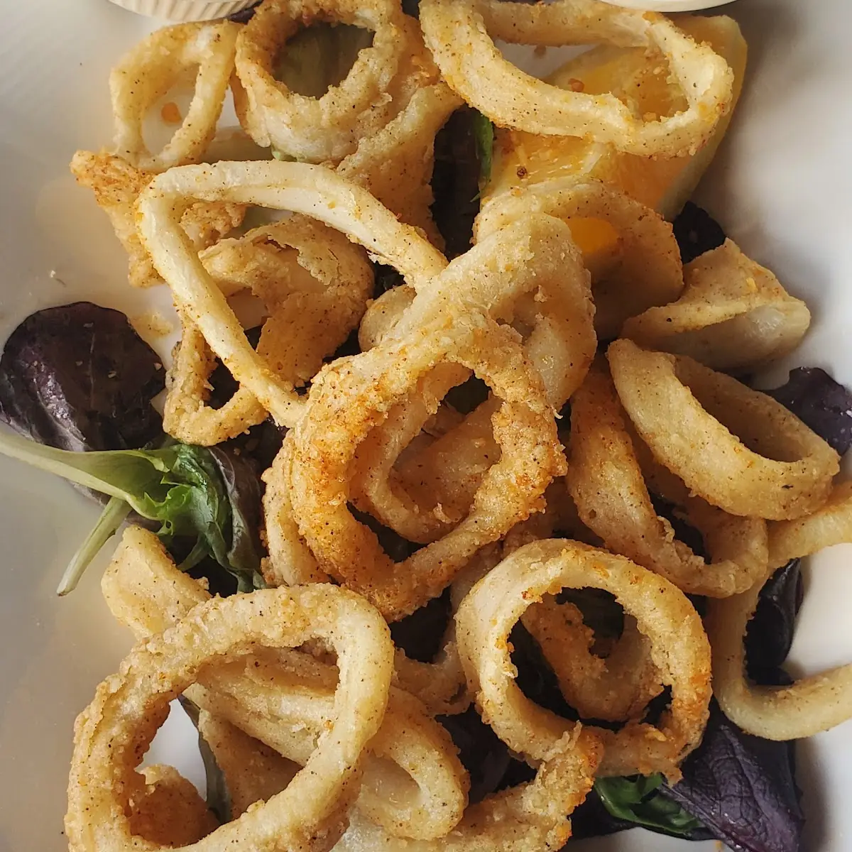 Calamari Fritti