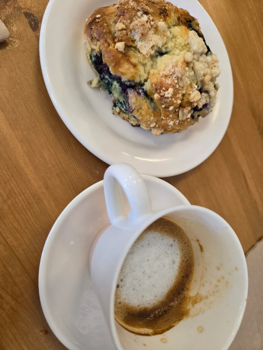 Blueberry Muffin