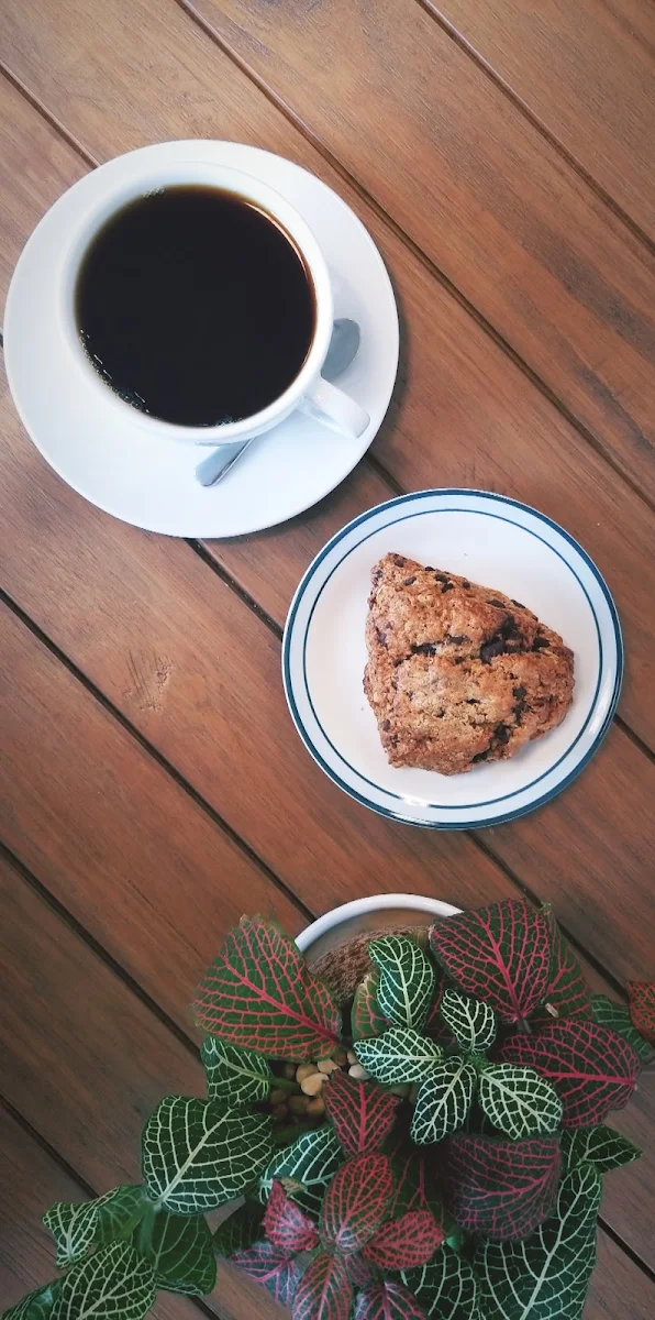 Chocolate Chip Scones