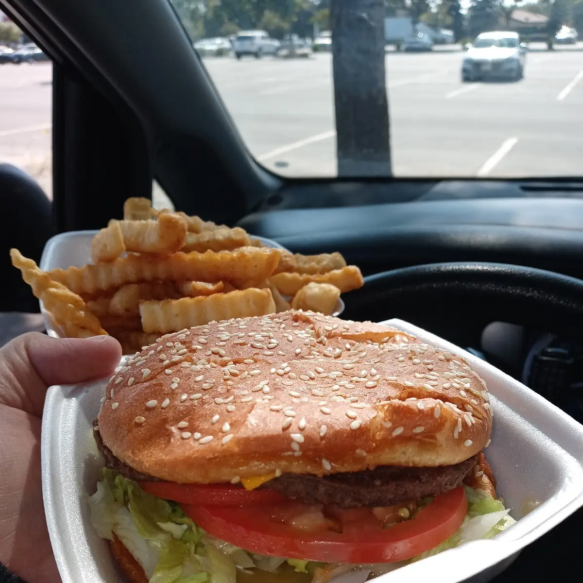 Texas Burger and Fries