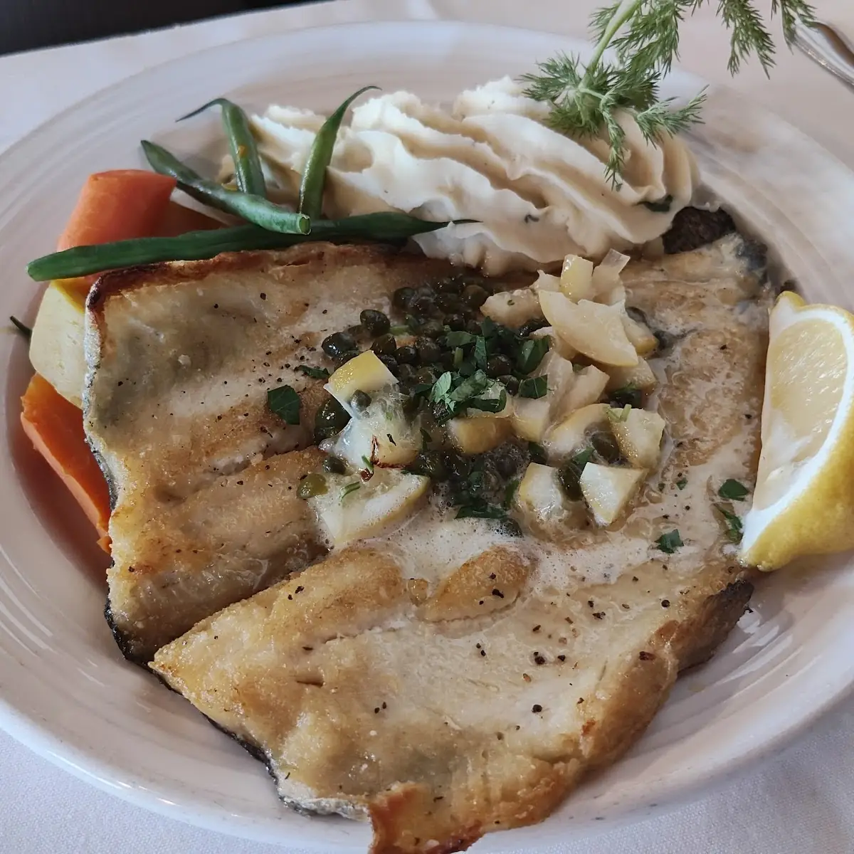Rainbow Trout