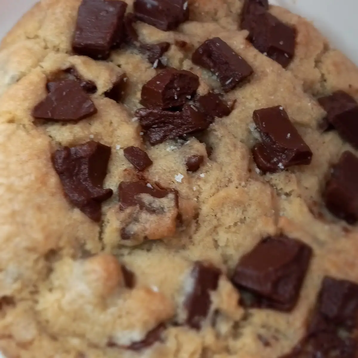 Chocolate Chunk Cookie