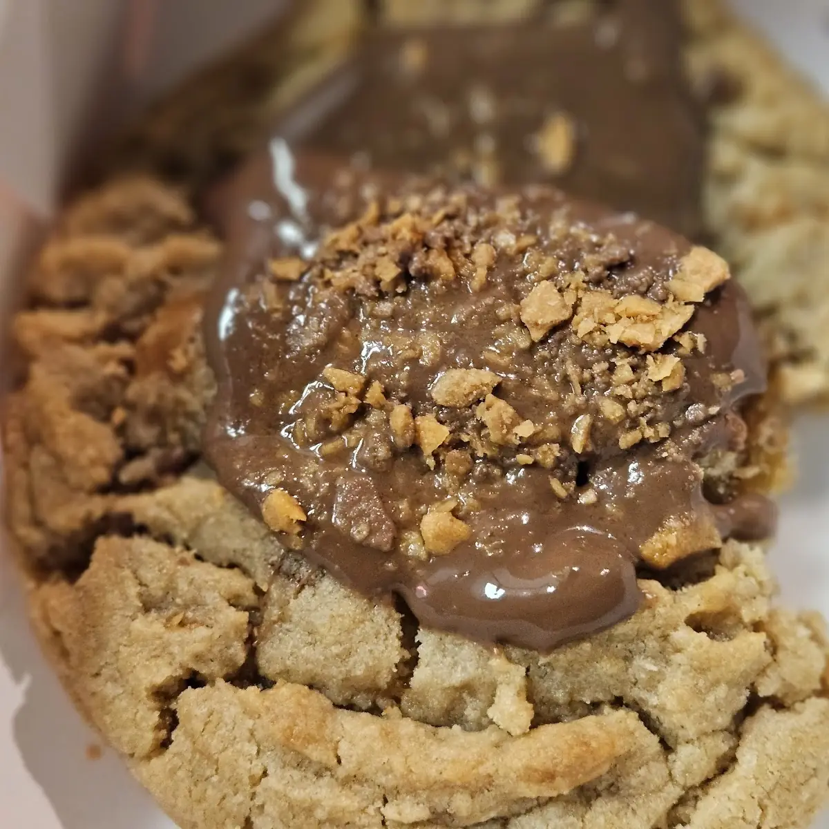 Peanut Butter Cookie