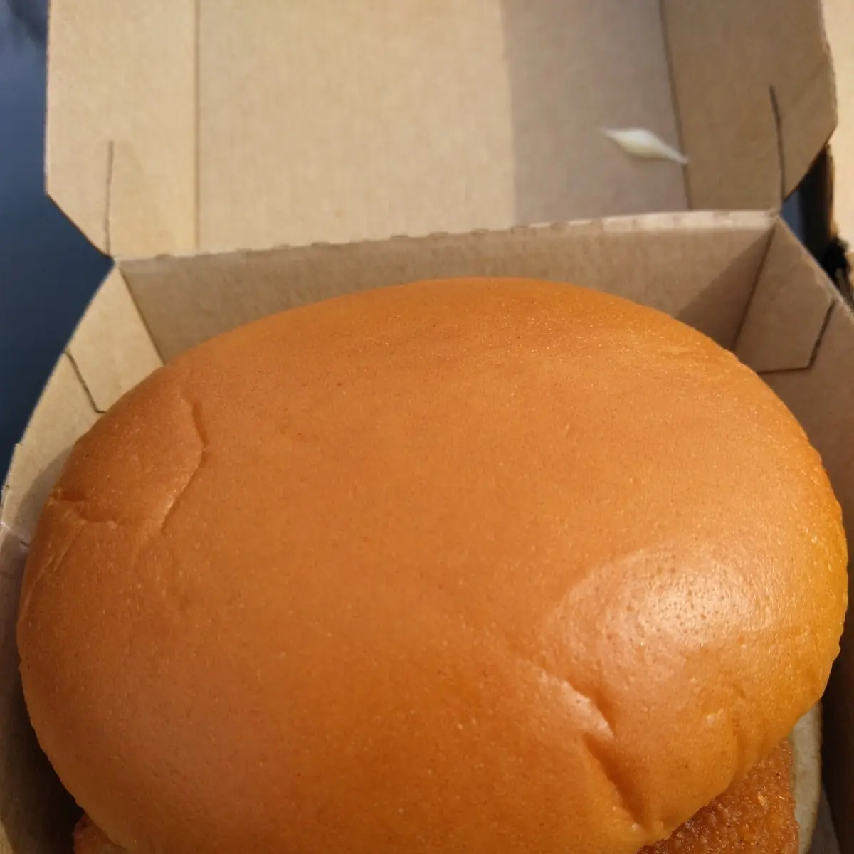 Two Fish Filet Sandwiches