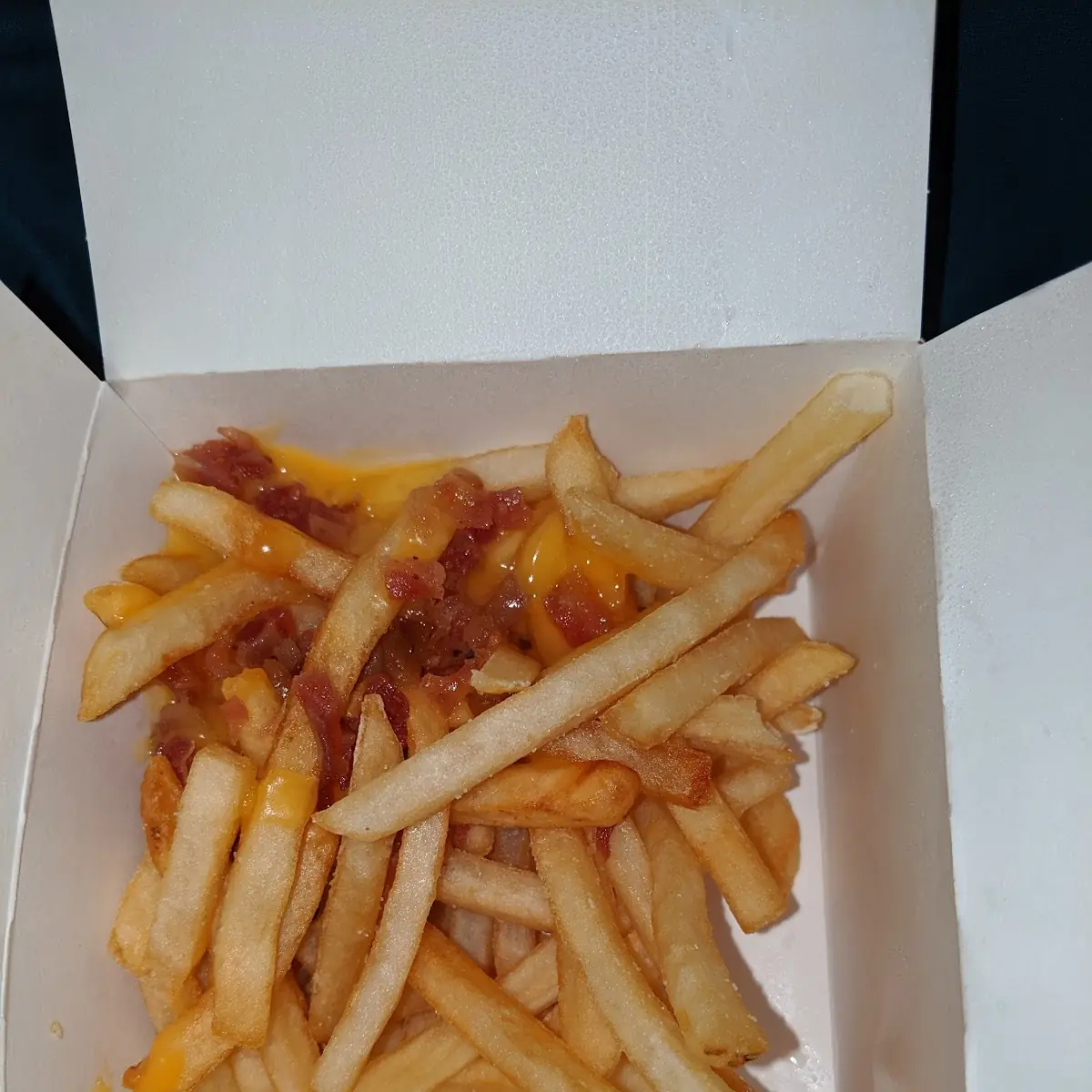 World Famous Fries