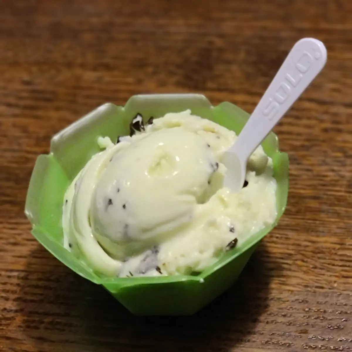 Mint Chocolate Gelato