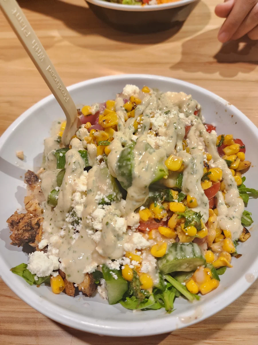 Burrito Bowl