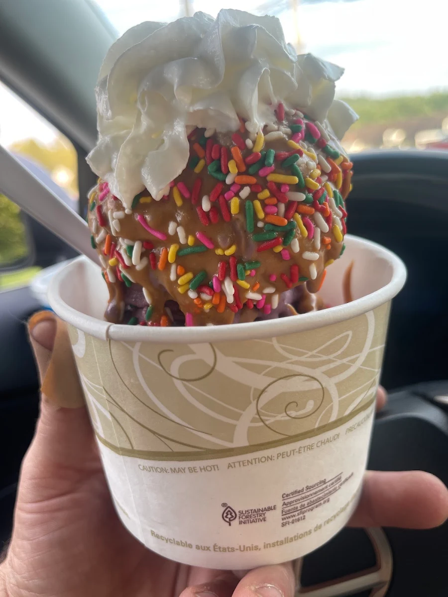 Frozen Yogurt