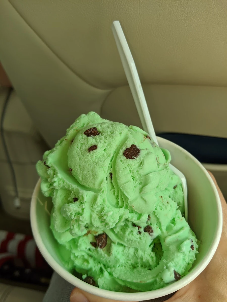 Mint Chocolate Chip