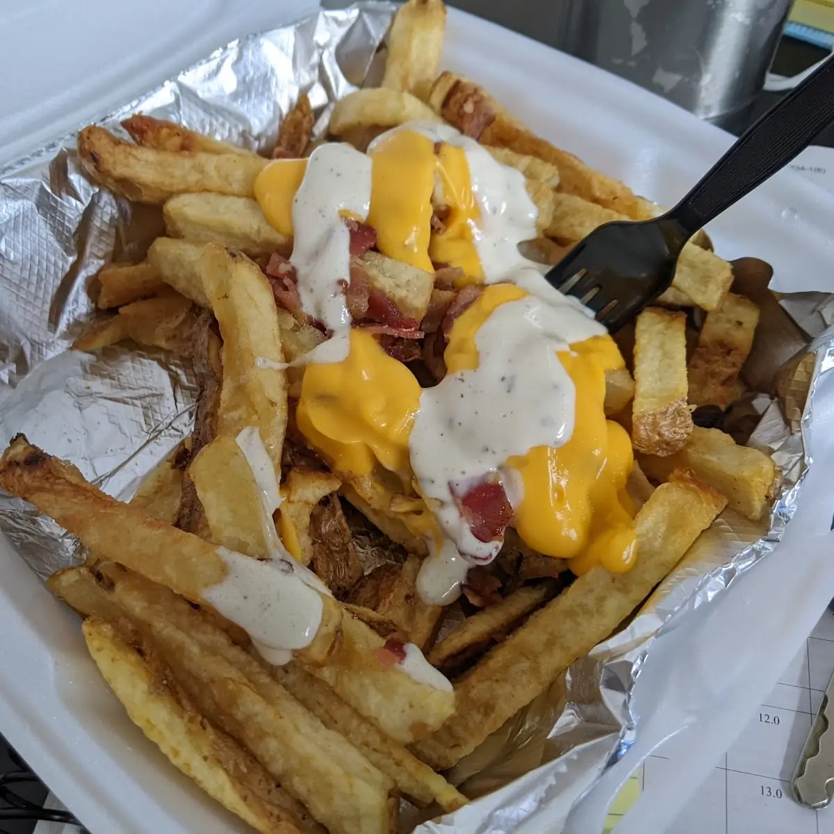 Bacon Cheddar Ranch Fries