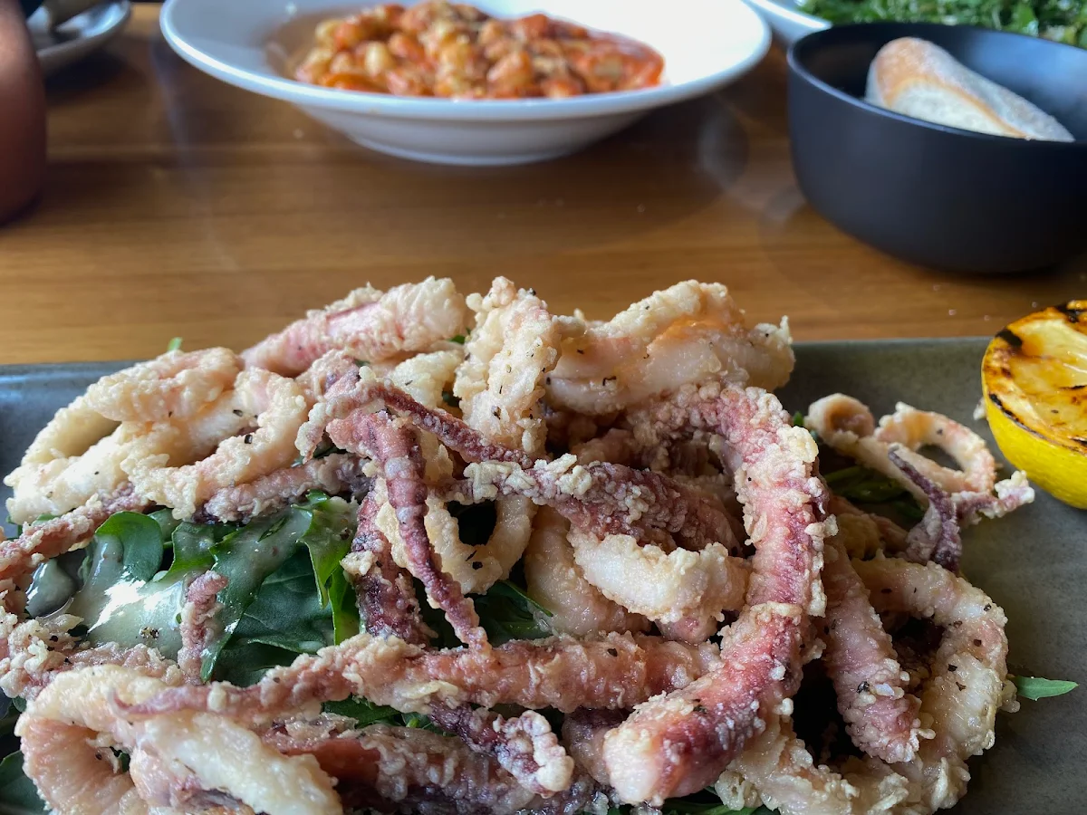 Calamari Fritti
