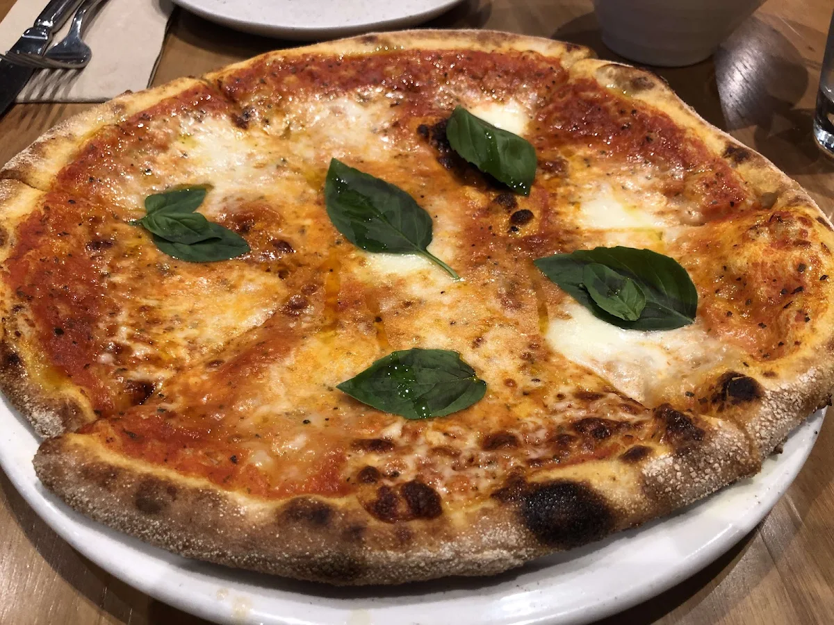 Margherita Pizza
