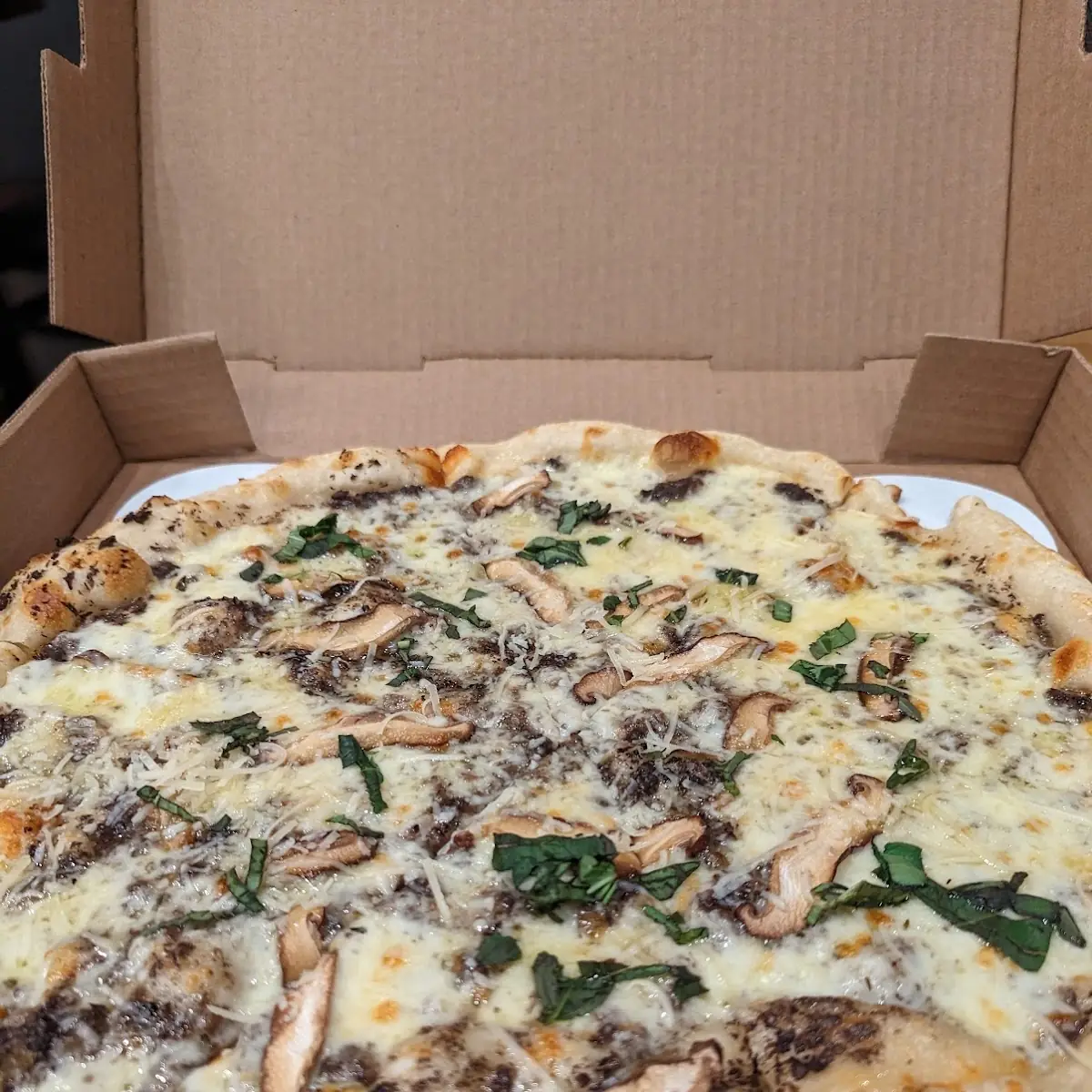 Funguy Pizza