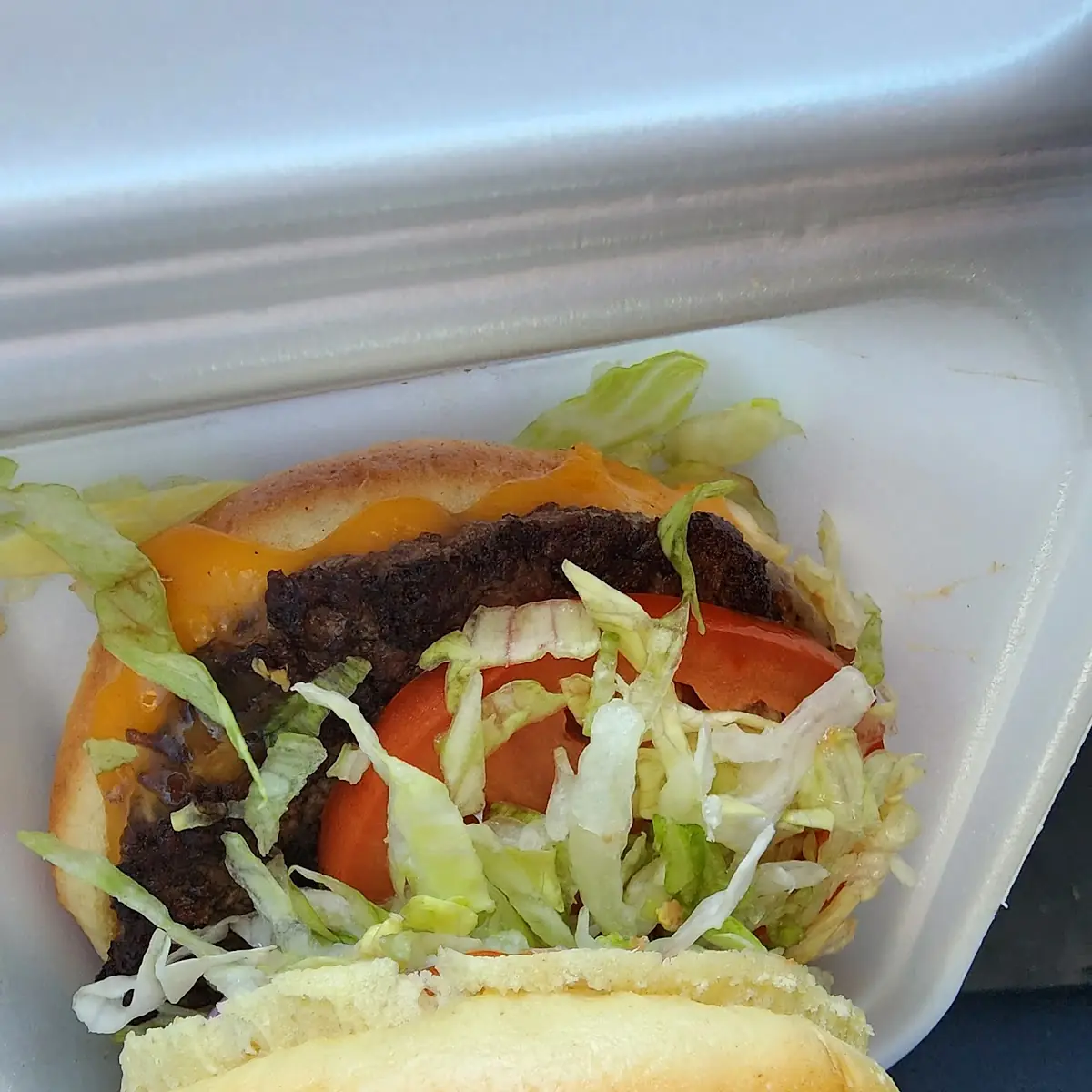 Bacon and Cheese Burger