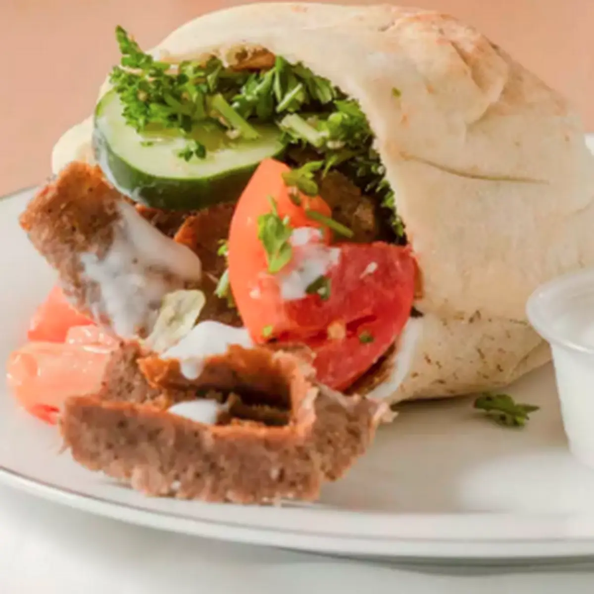Falafel Sandwich Combo