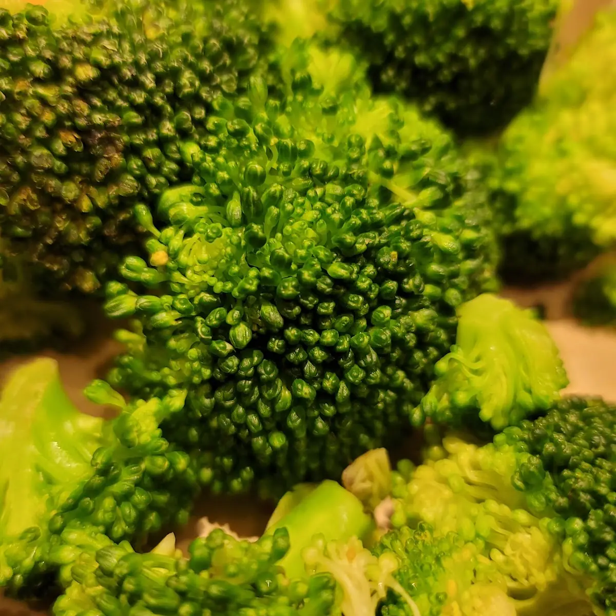 Steamed Broccoli