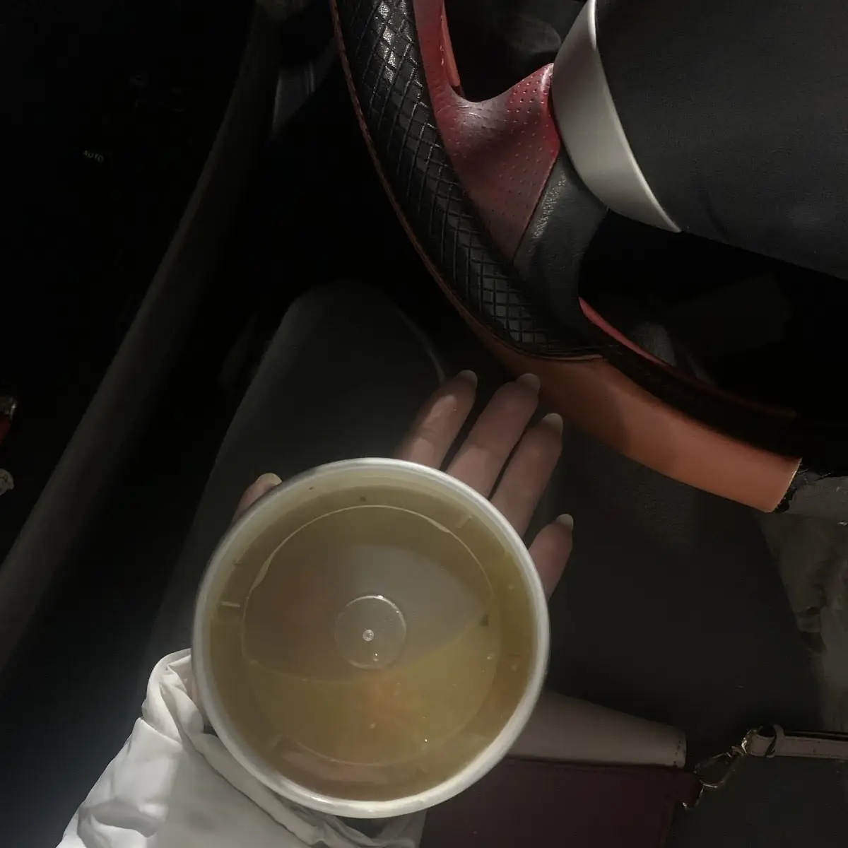 Chicken Noodle Soup
