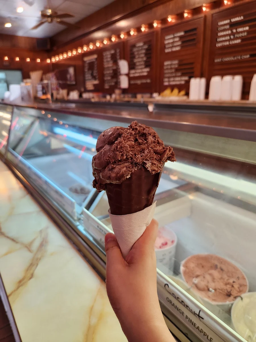 Triple Chocolate Ice Cream