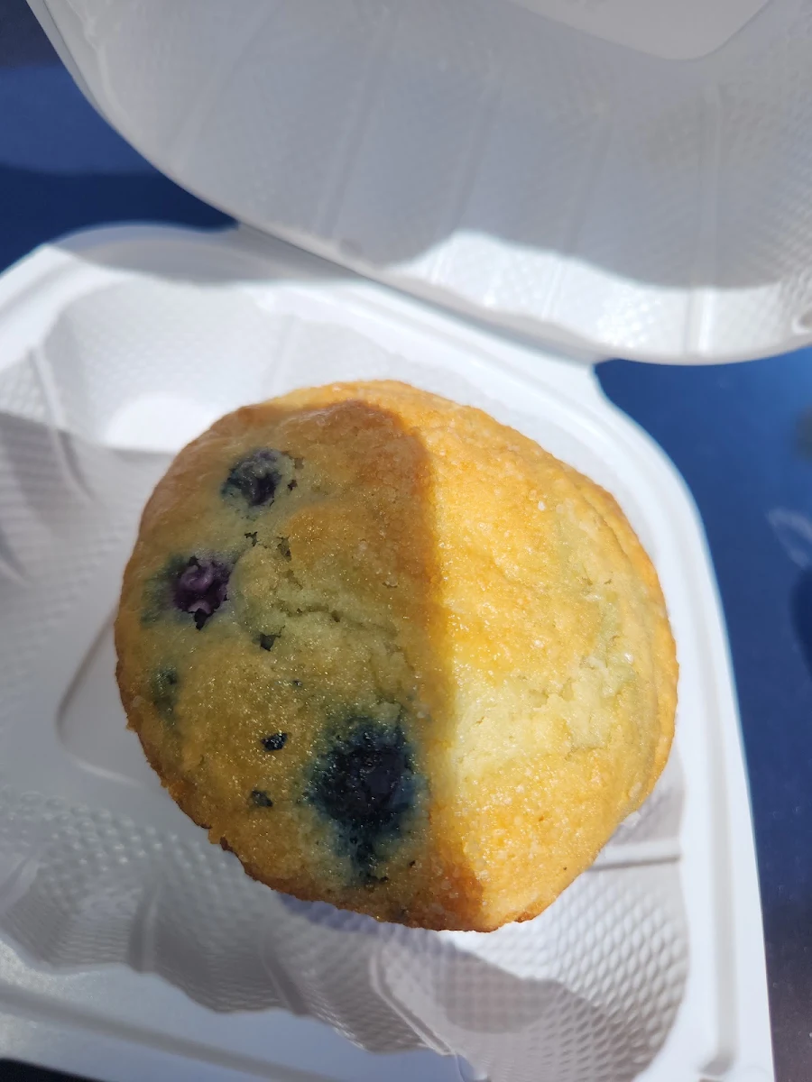 Blueberry Muffin