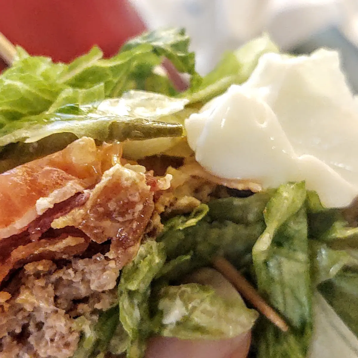 Double Bacon Cheeseburger Hold the Bun