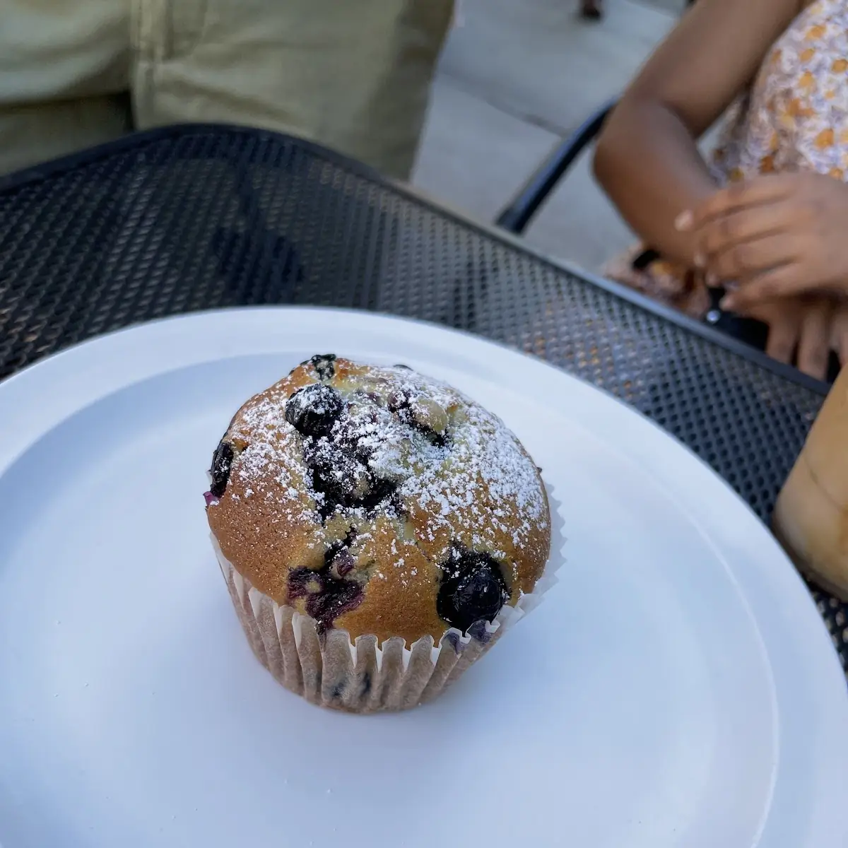 Blueberry Muffin