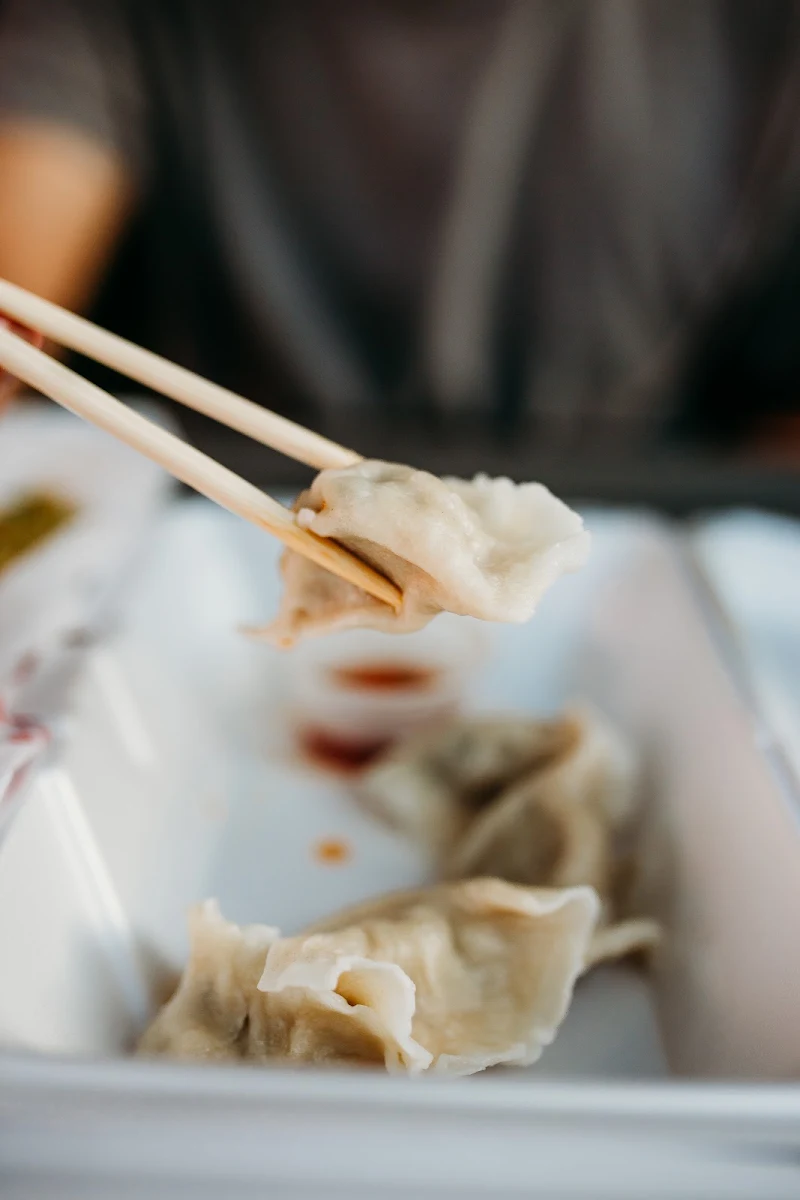 Pork & Vegetable Dumplings