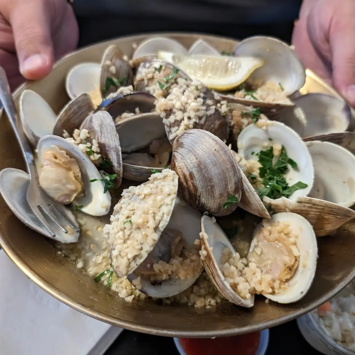 Oysters on the Half Shell