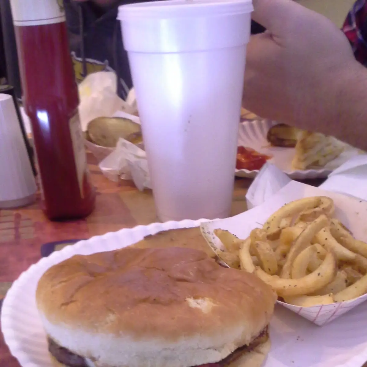 Daily Burger Without Fries