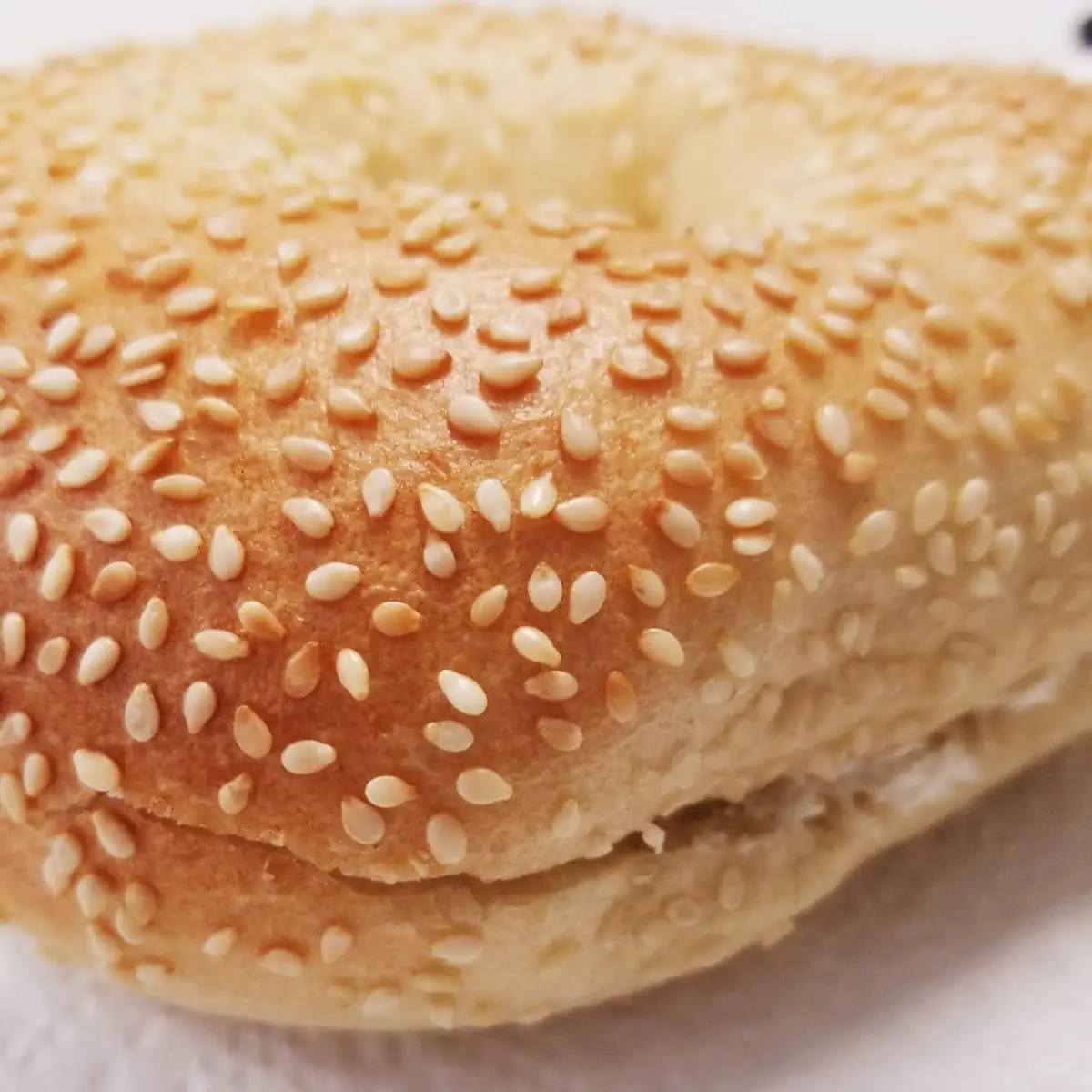 Sesame Bagel and Cream Cheese