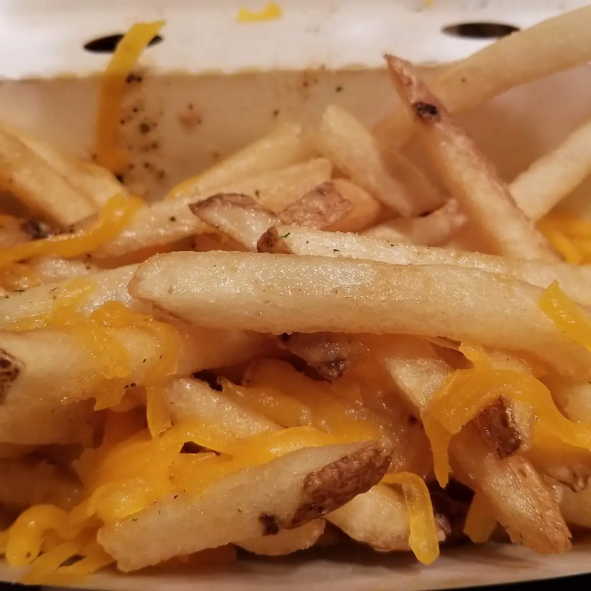Cheesy Garlic Fries