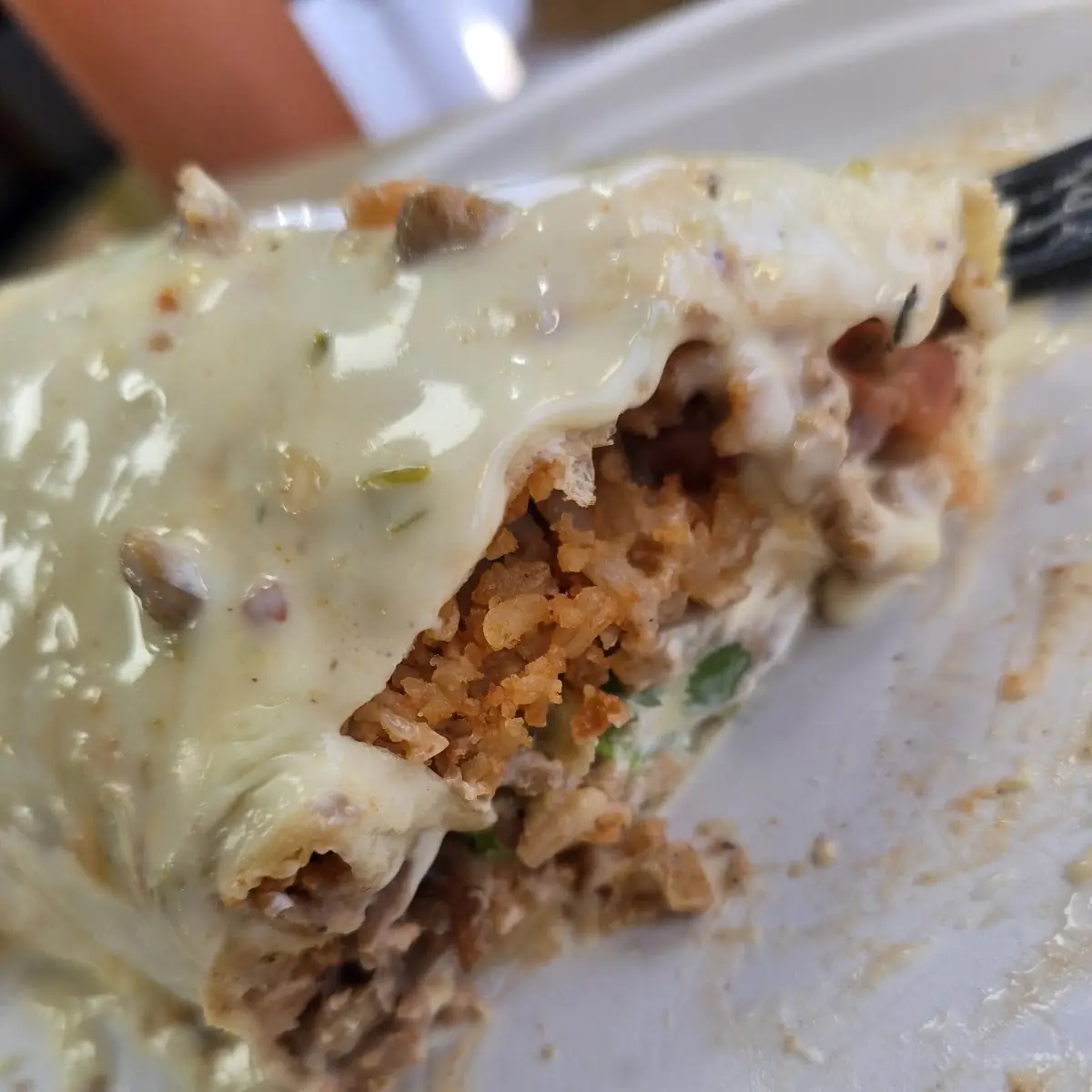 Asada Burrito