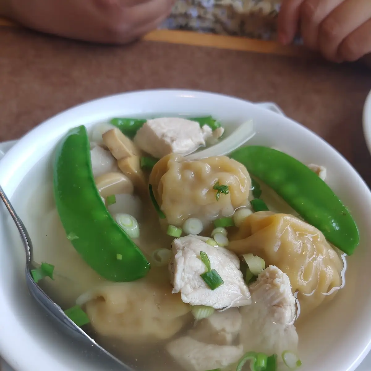 Chicken Wonton