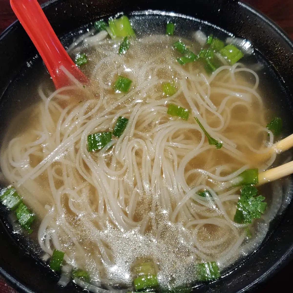 Rice Noodle and Broth Only
