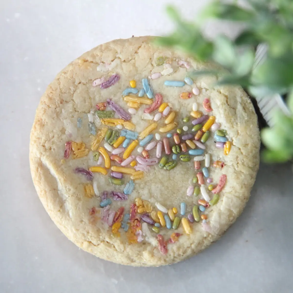 Birthday Cake Funfetti Cookie