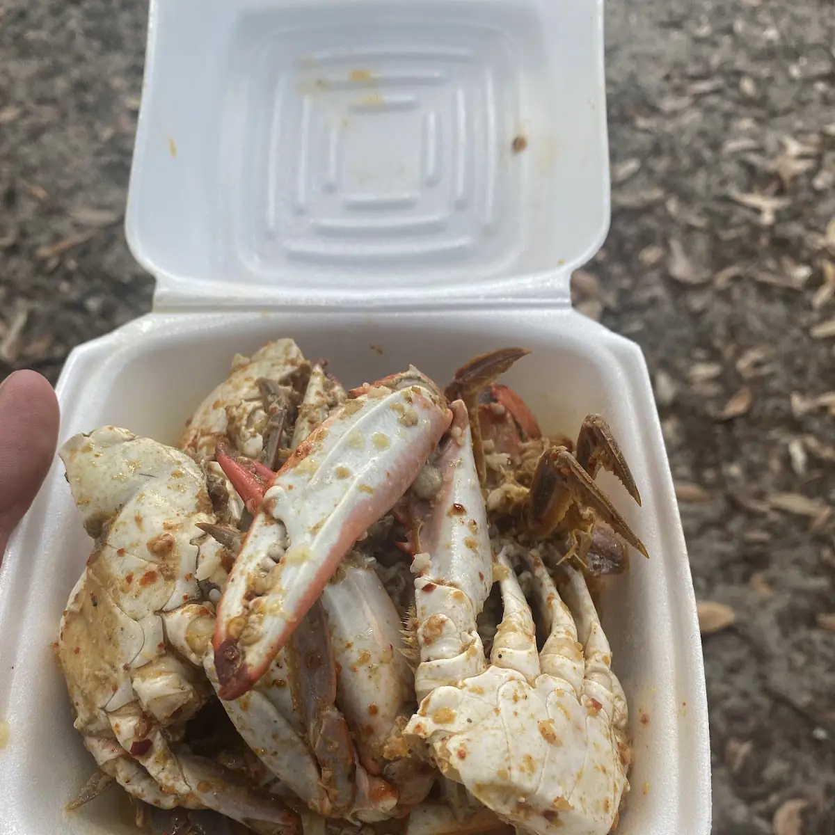 Garlic Snow Crab