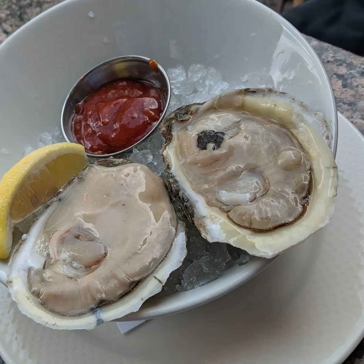 Oysters