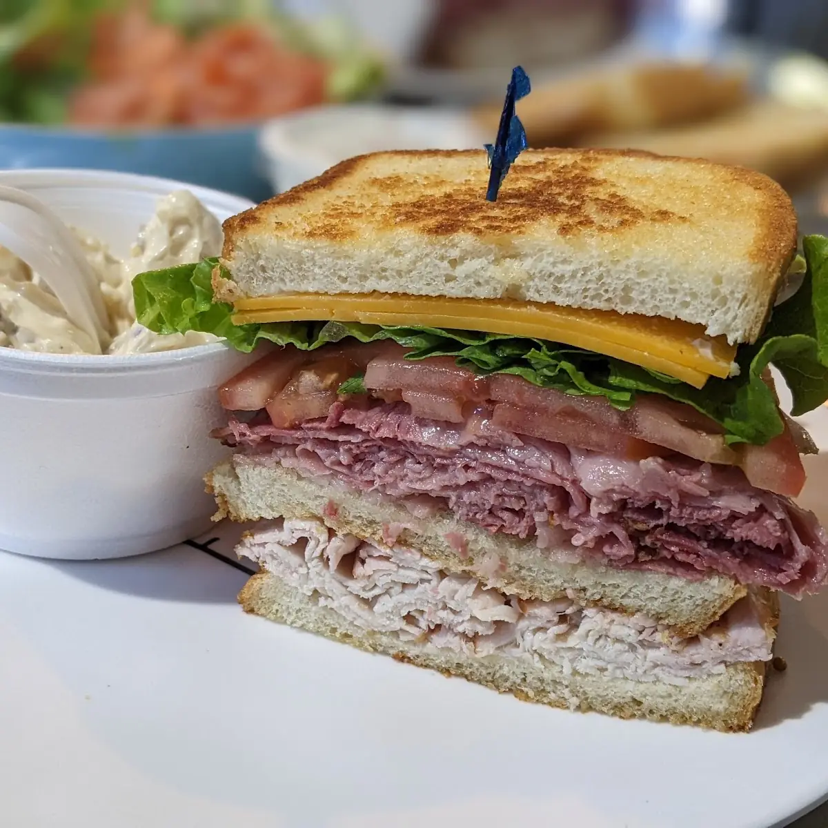 Turkey & Roast Beef Sandwich