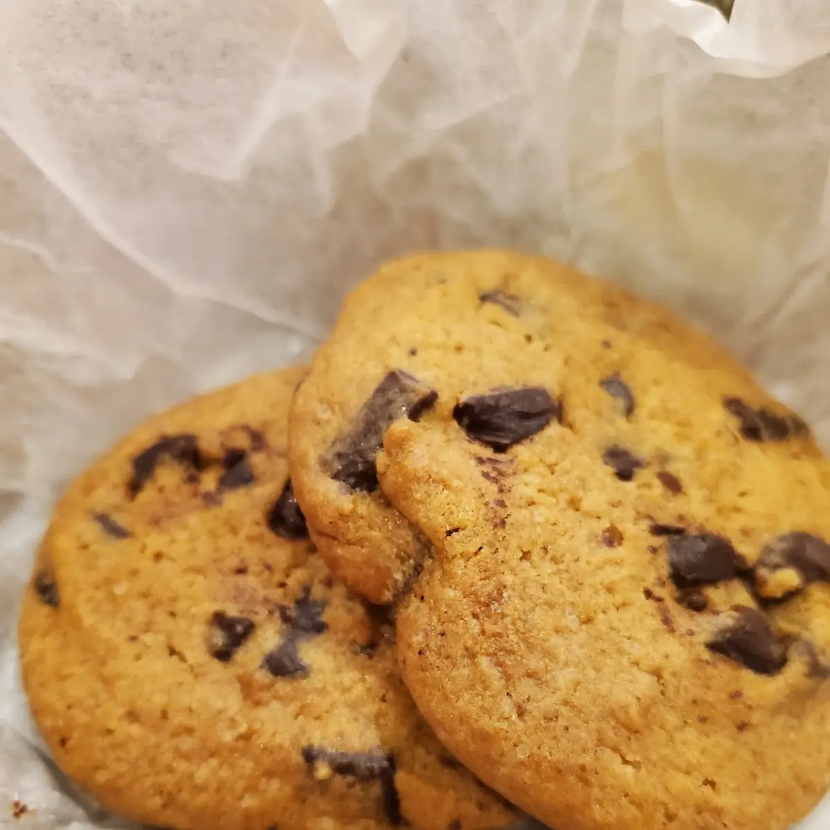 Chocolate Chip Cookies