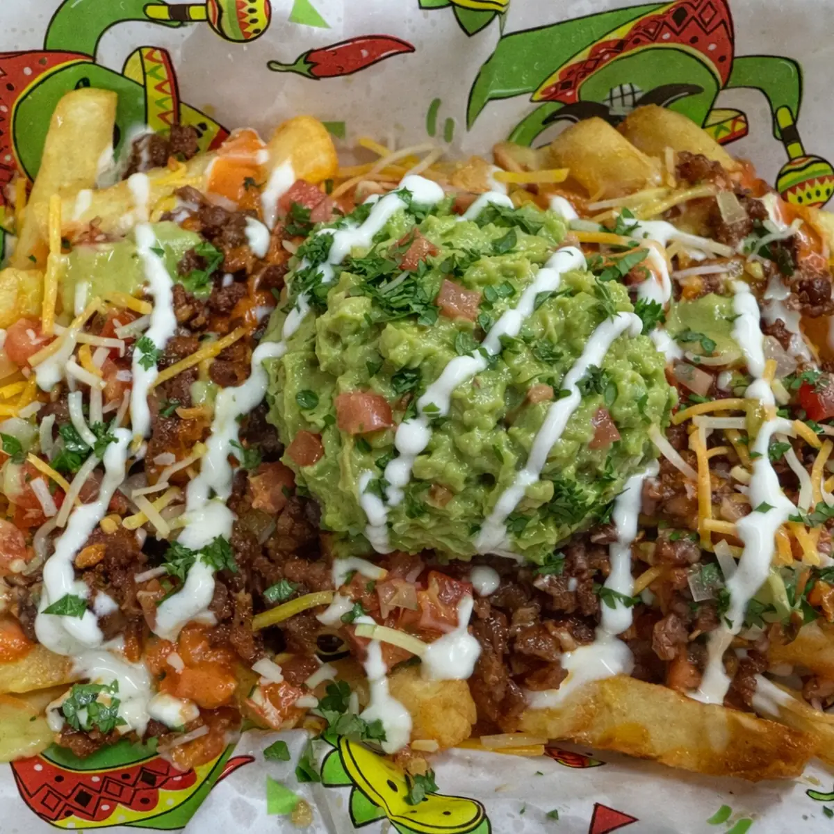Carne Asada Fries