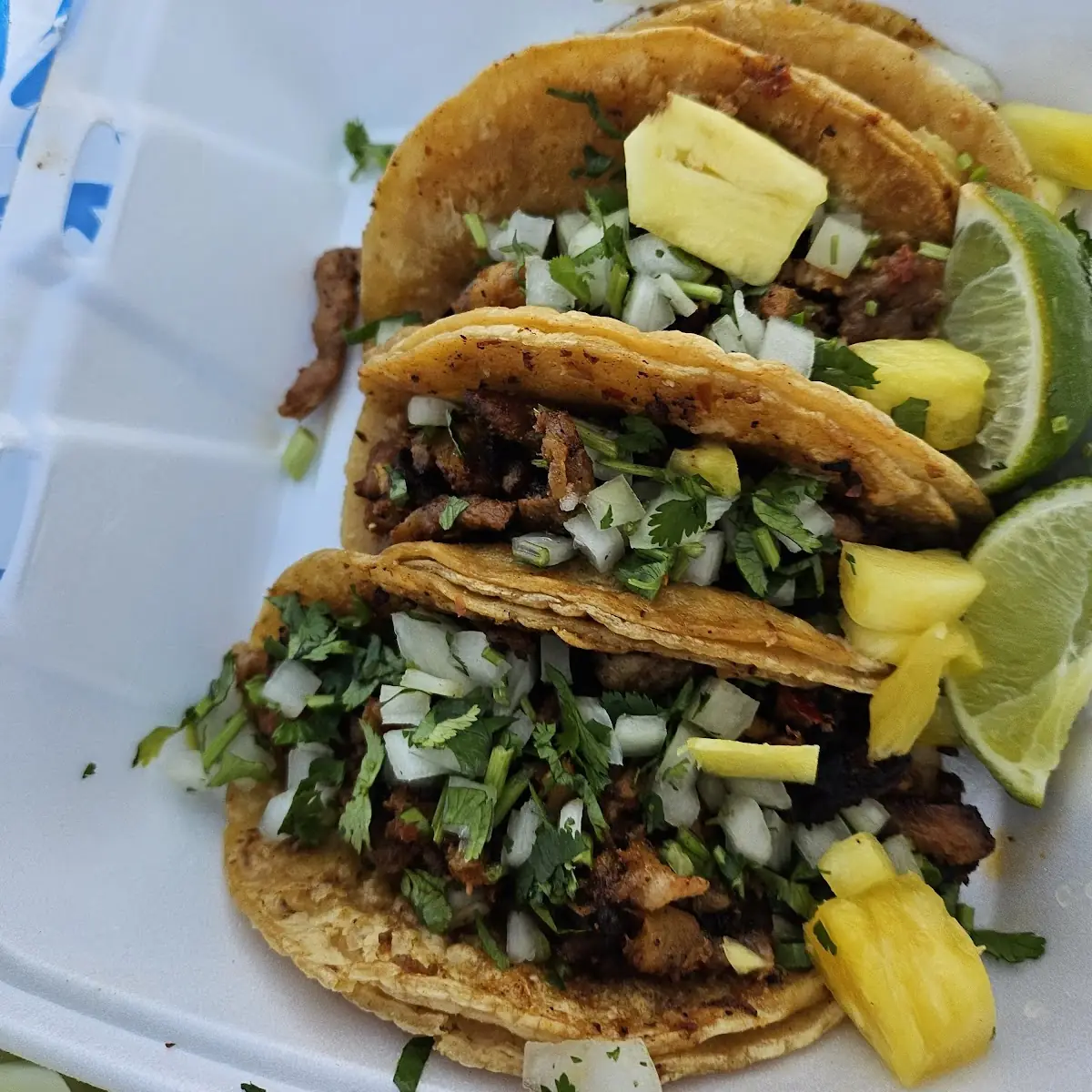 Al Pastor Taco and Steak Quesadilla