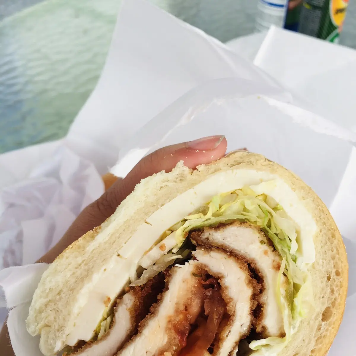 Chicken Cutlet with Mozzarella Cheese