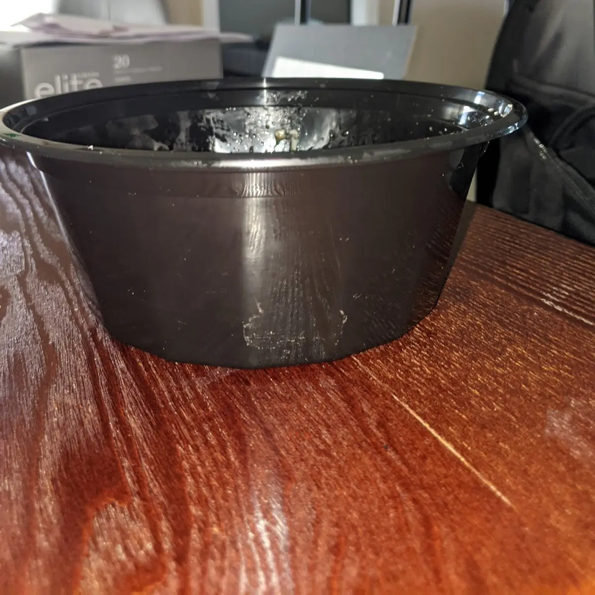 Organic Tofu Bowl