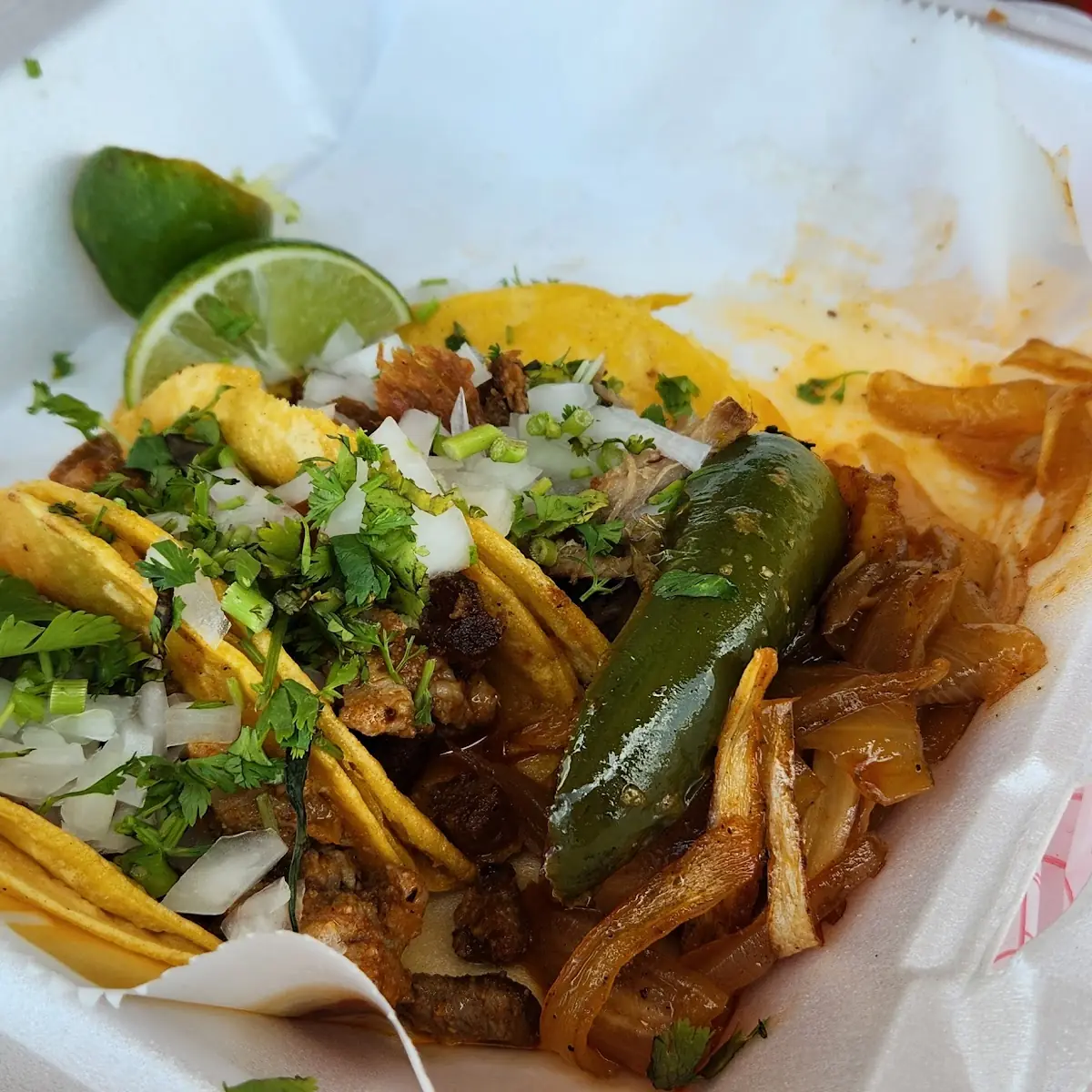 Quesa Birria Tacos
