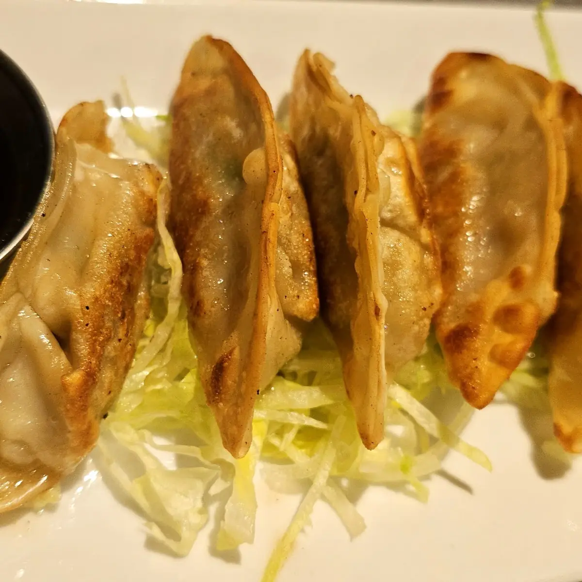 Pan Fried Pot Stickers