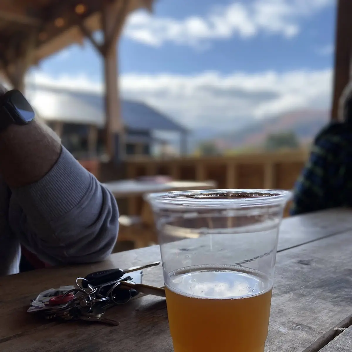 Hazy Pale Ale