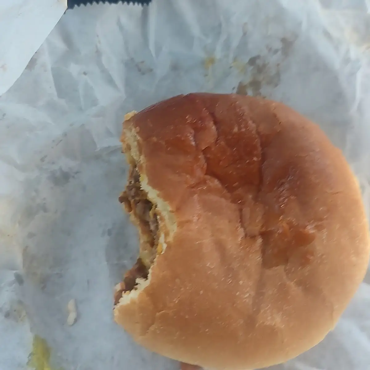 Cheese Burger All the Way