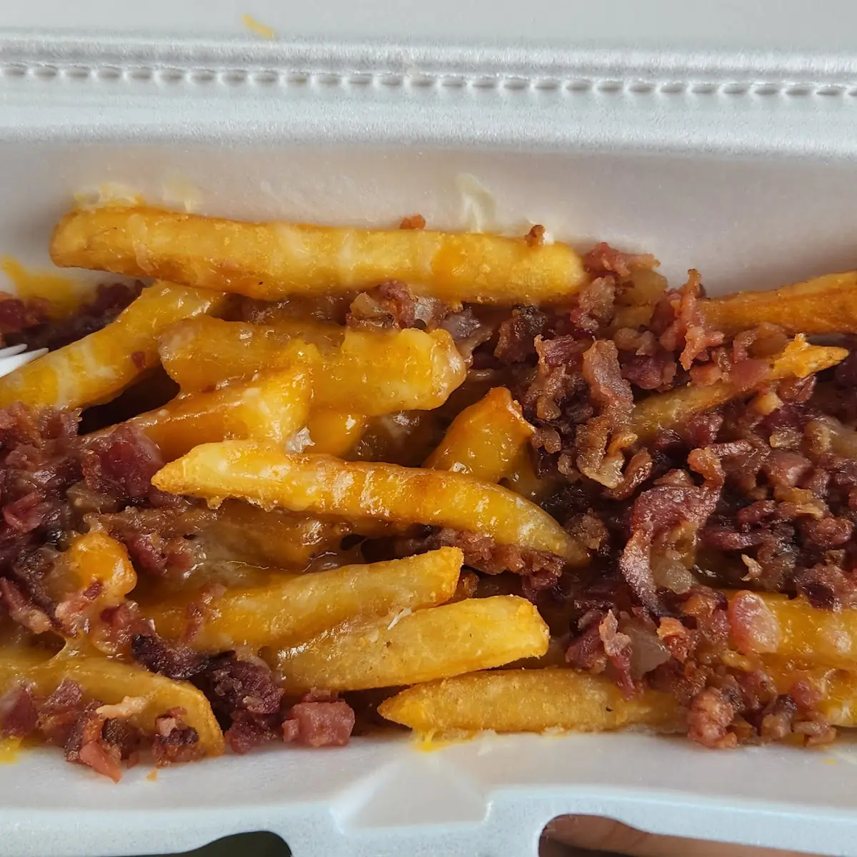 Bacon Cheese Fries