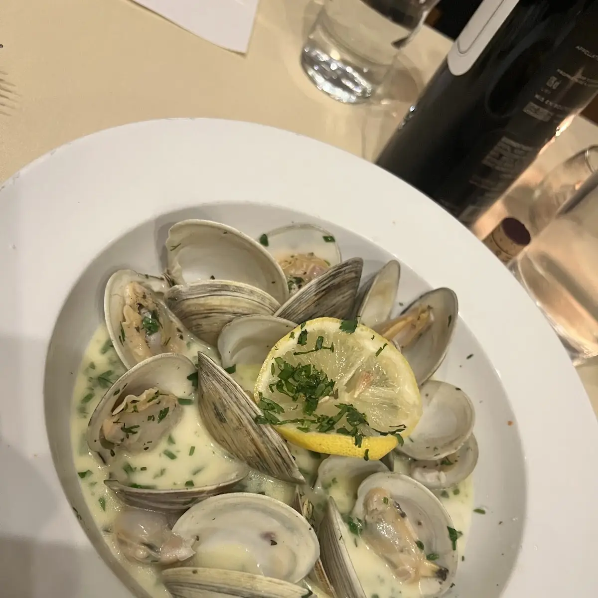 Steamed Clams